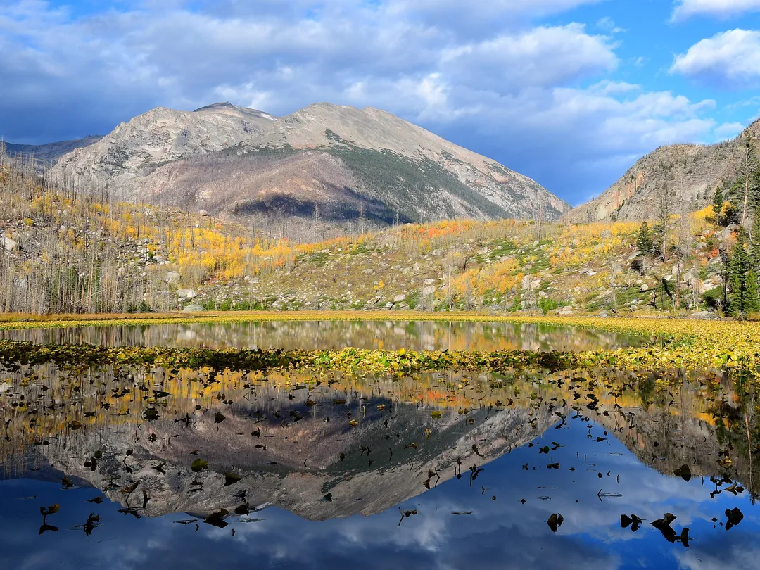 Cub Lake with reflections. Yellow and brown grasses line the edge of the lake.